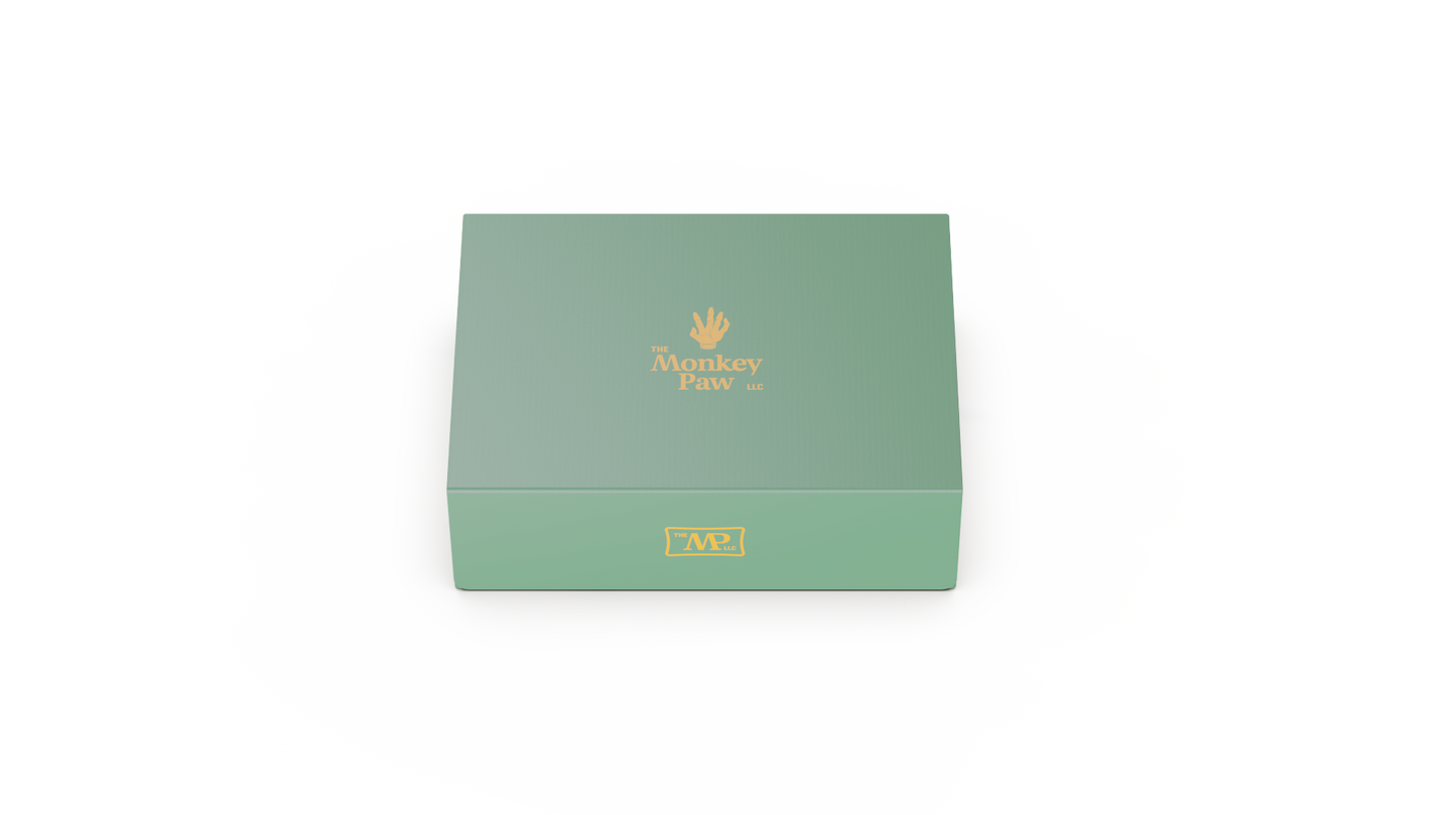 Gun Protection Kit - Premium